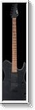 FGN E-Gitarre, J-Standard Iliad Dark Evolution 664, Open Pore Bl